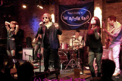 2015-The-Bitter-End-0